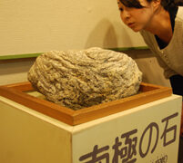 単独展示」に昇格？ こども科学館の南極の石 | わかやま新報