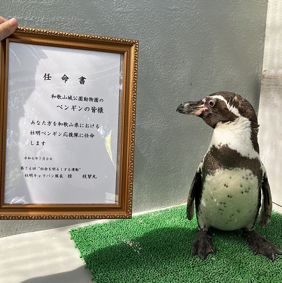 任命を受けたフンボルトペンギン