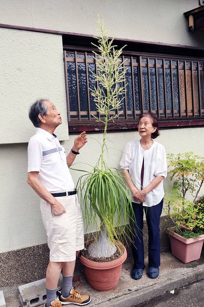 花を眺める酒井芳三さん㊧と純子さん㊨