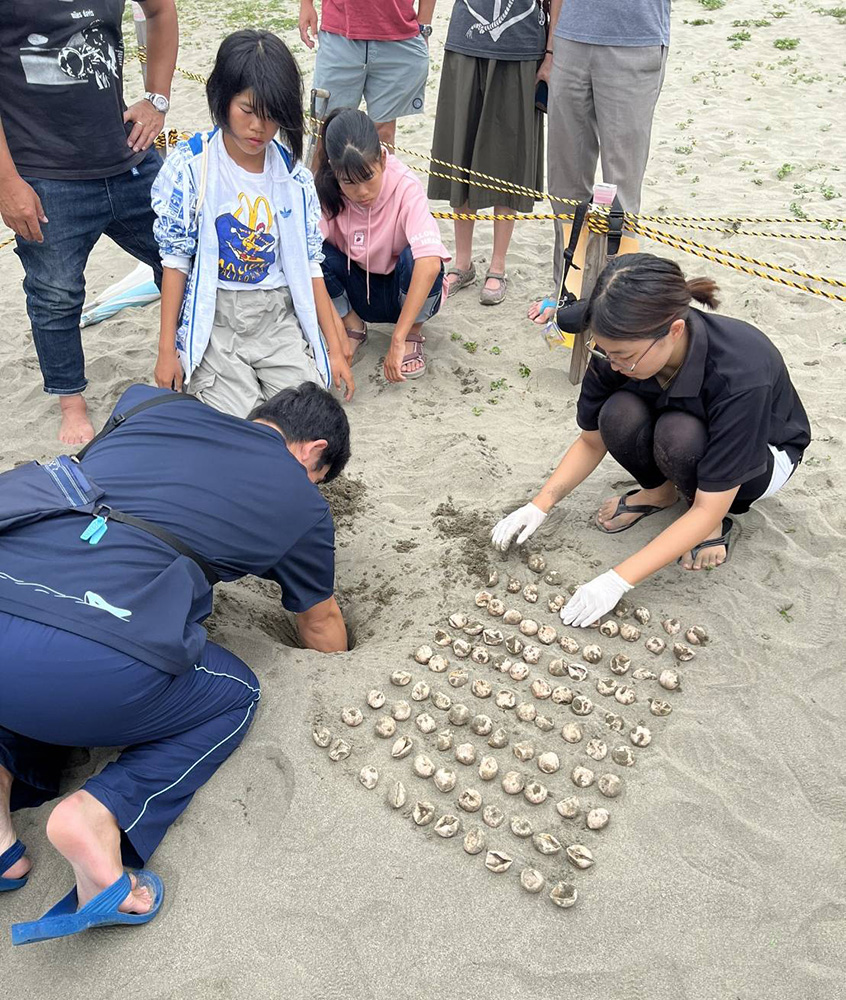 卵を調査する日本ウミガメ協議会（県サーフィン連盟提供）