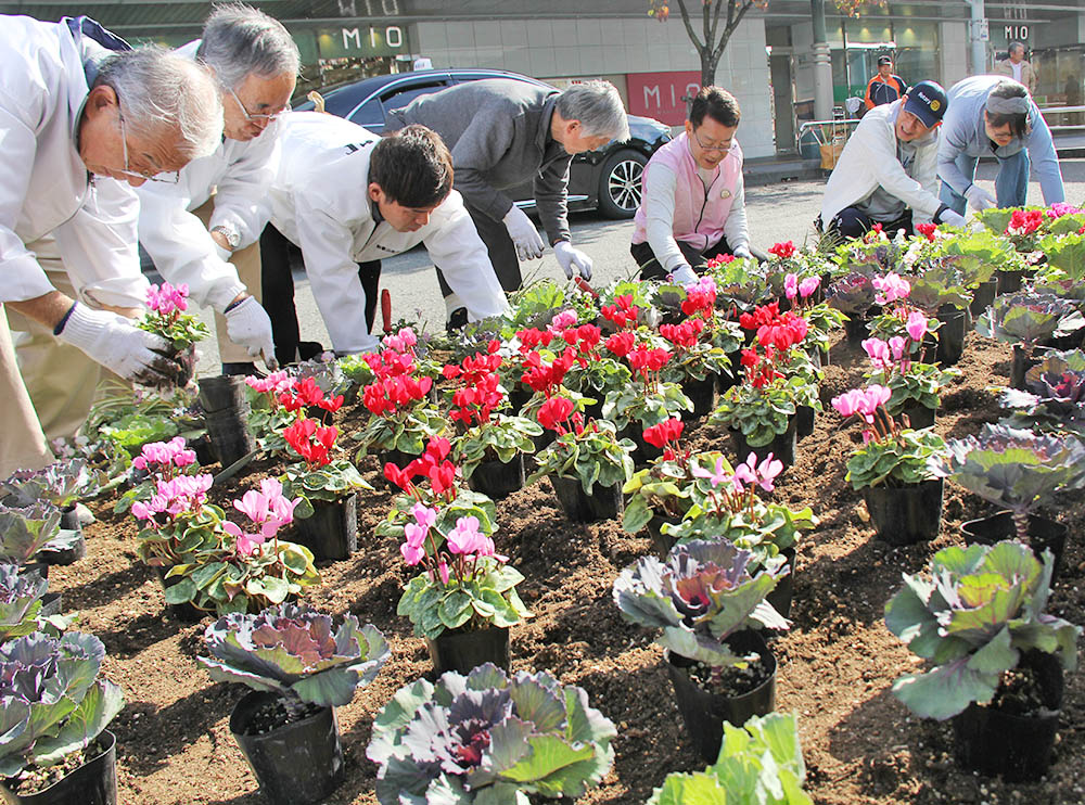 花を植える会員たち