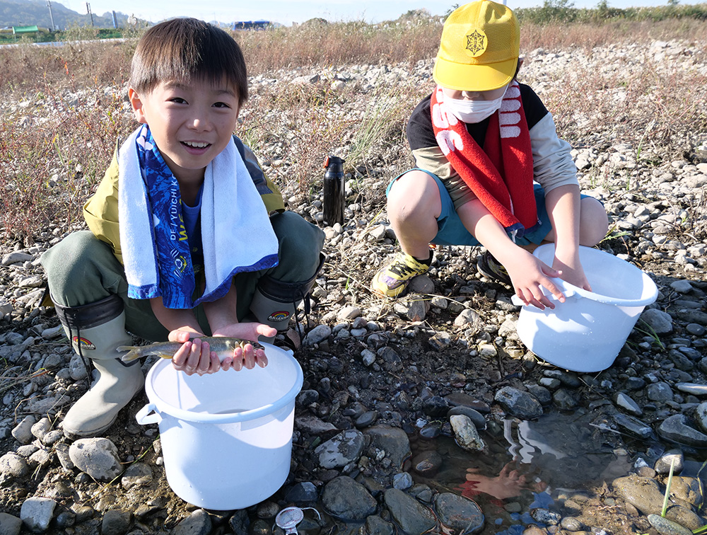 親アユ５００匹を川に放流