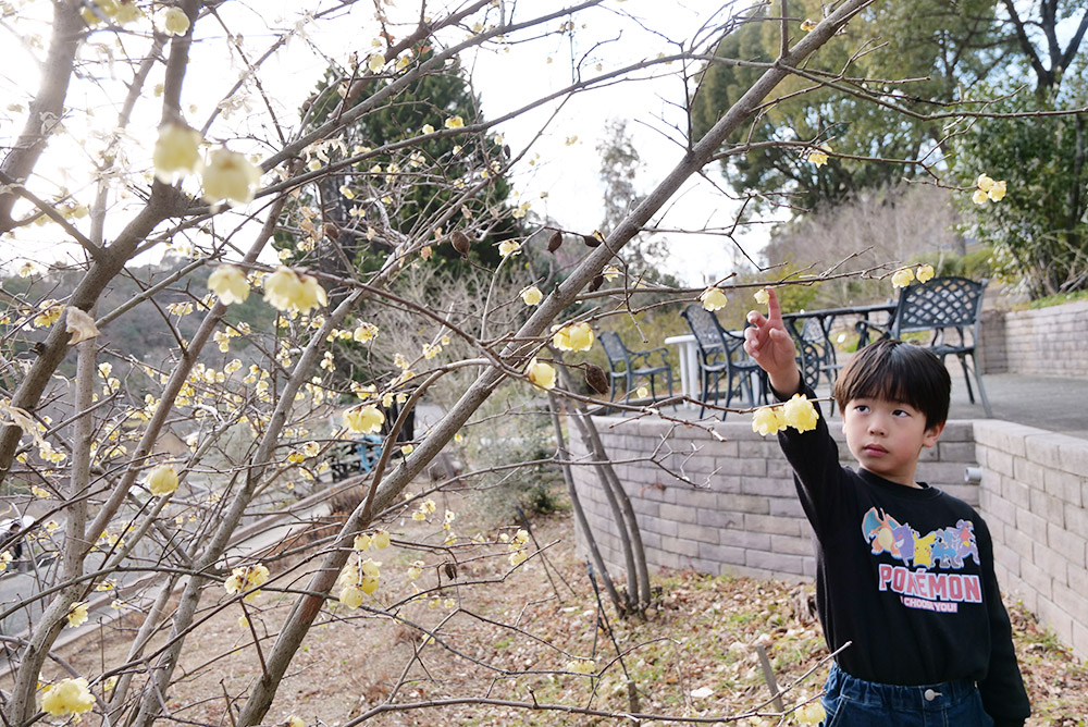 花と香りを楽しむ来園者