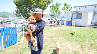 和歌浦のエーゲ海」に ドッグパークオープン | わかやま新報