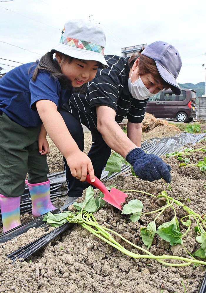 土を掘って苗を植える参加者