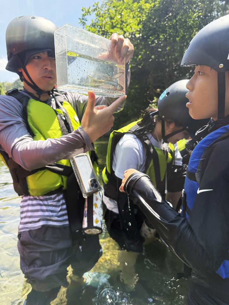 きれいな色の魚をつかまえて観察する