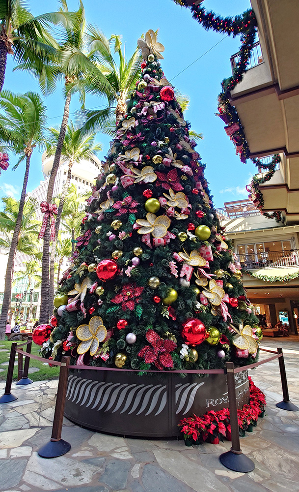 常夏の島を華やかにするクリスマスツリー(ホノルル市内)