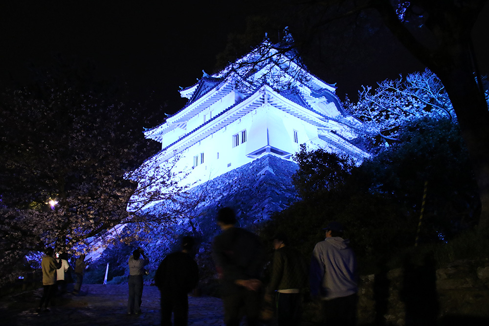 花見時期にライトアップされた和歌山城天守閣