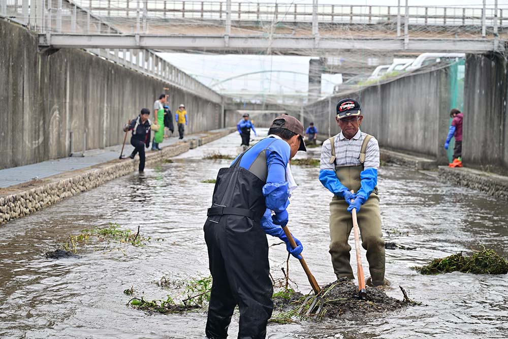 生い茂った雑草を除去する参加者