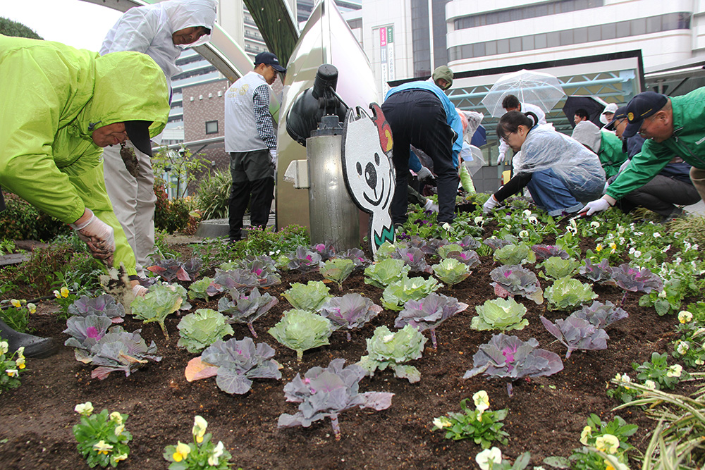 雨の中、丁寧に花を植える会員たち
