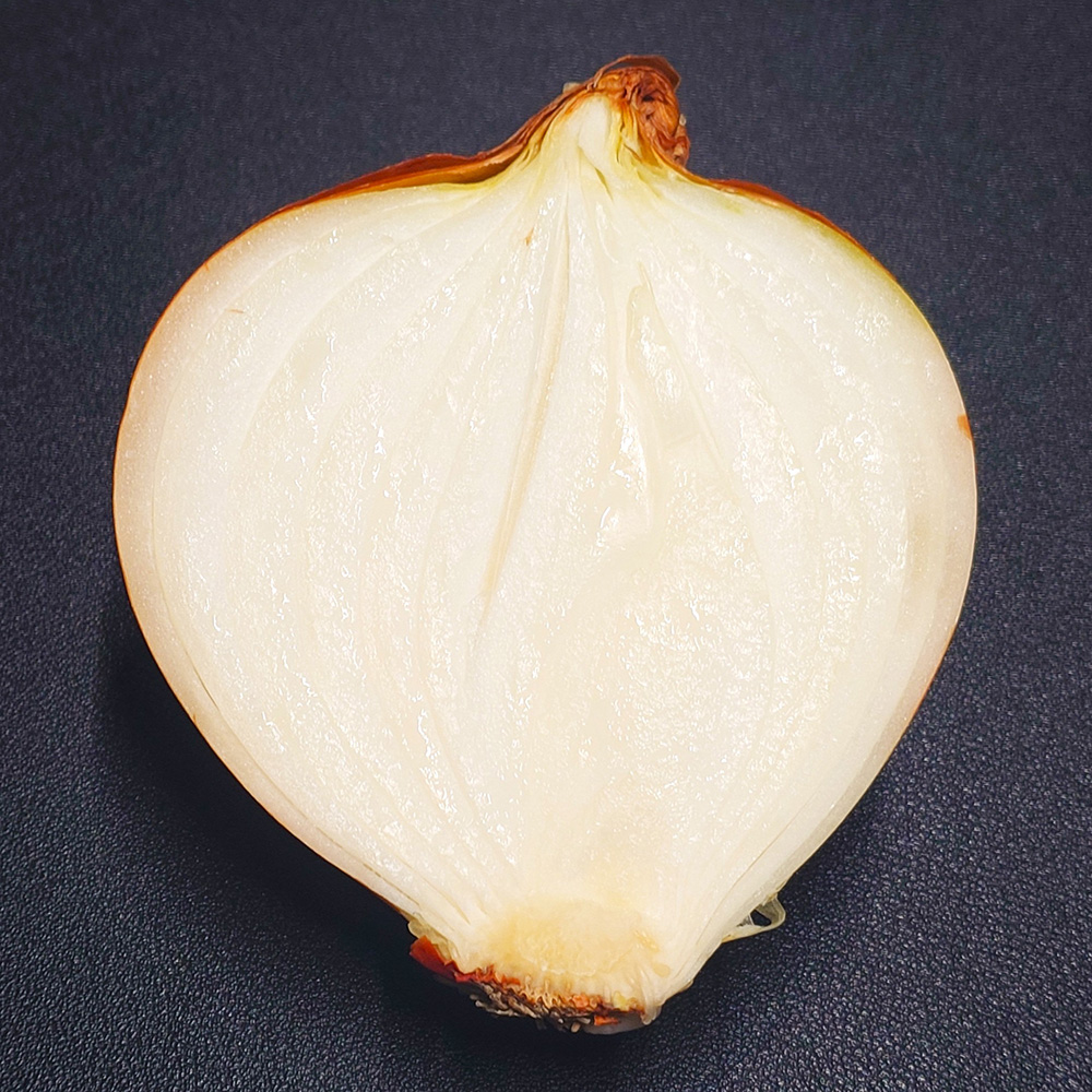甘みが詰まった「玉ねぎ」の断面