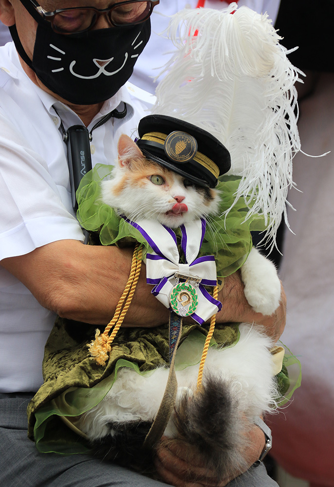 「和歌山県勲功爵」を授与されたニタマ（２０２１年８月２１日）