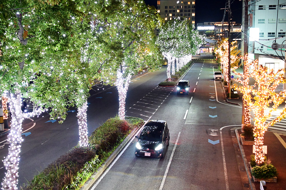 和歌山市駅までの通りも点灯