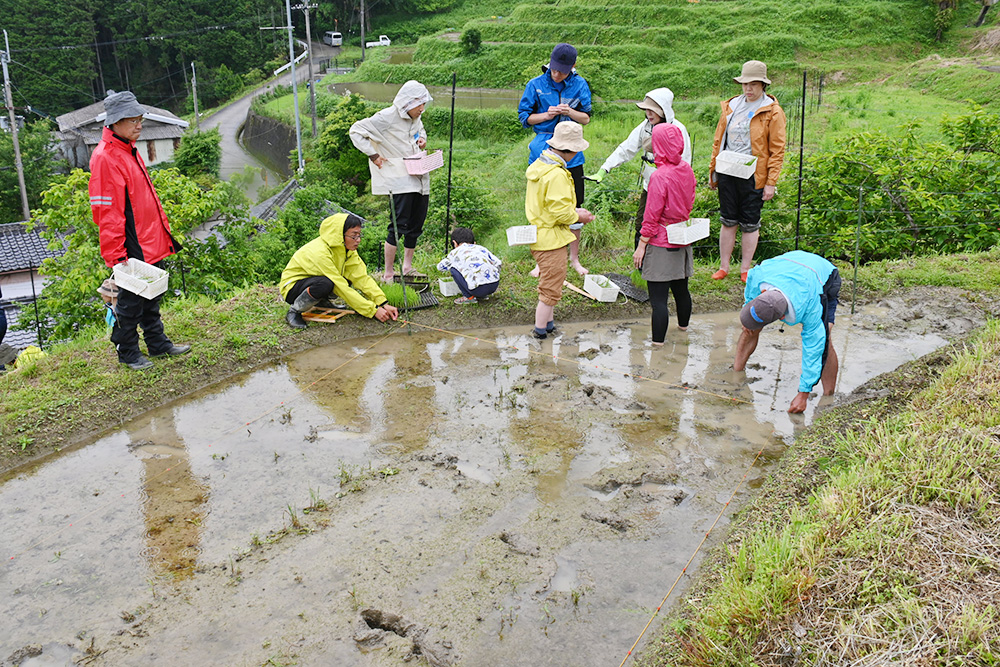 苗を植える準備をする協議会メンバーたち(2025年5月)