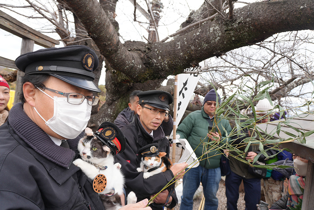 すす払いをする社員とネコ駅長ら