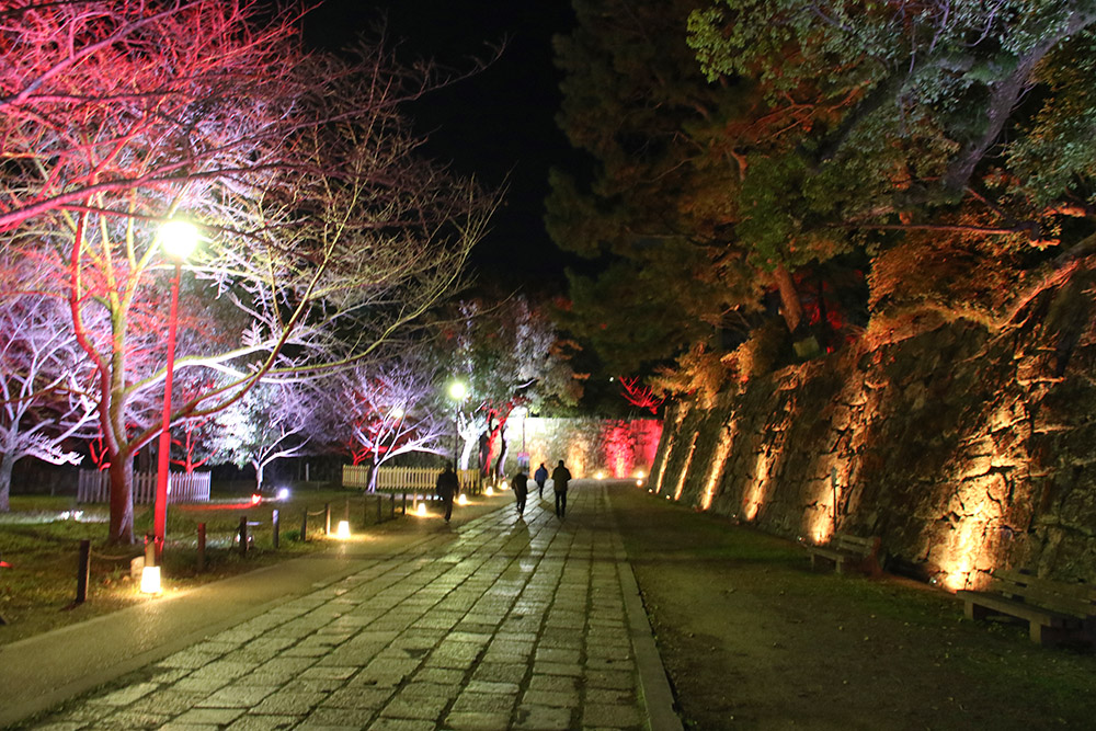 紅白にライトアップされた和歌山城公園