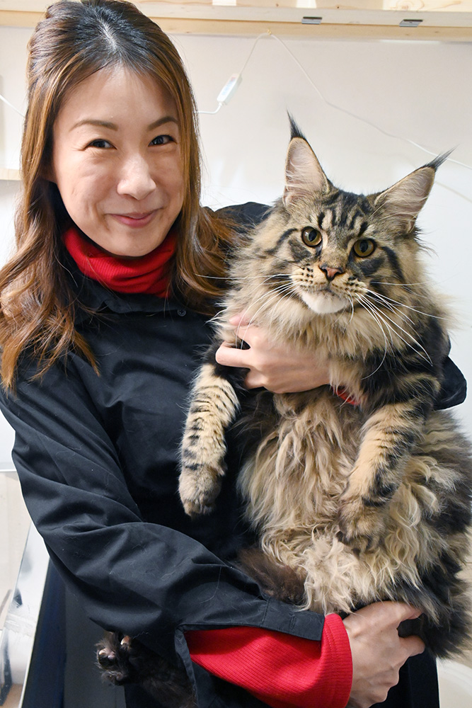 キャットグルーマーの林さん