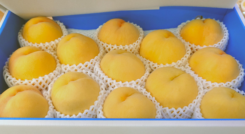 紀の川市で生産された「あら川の桃」