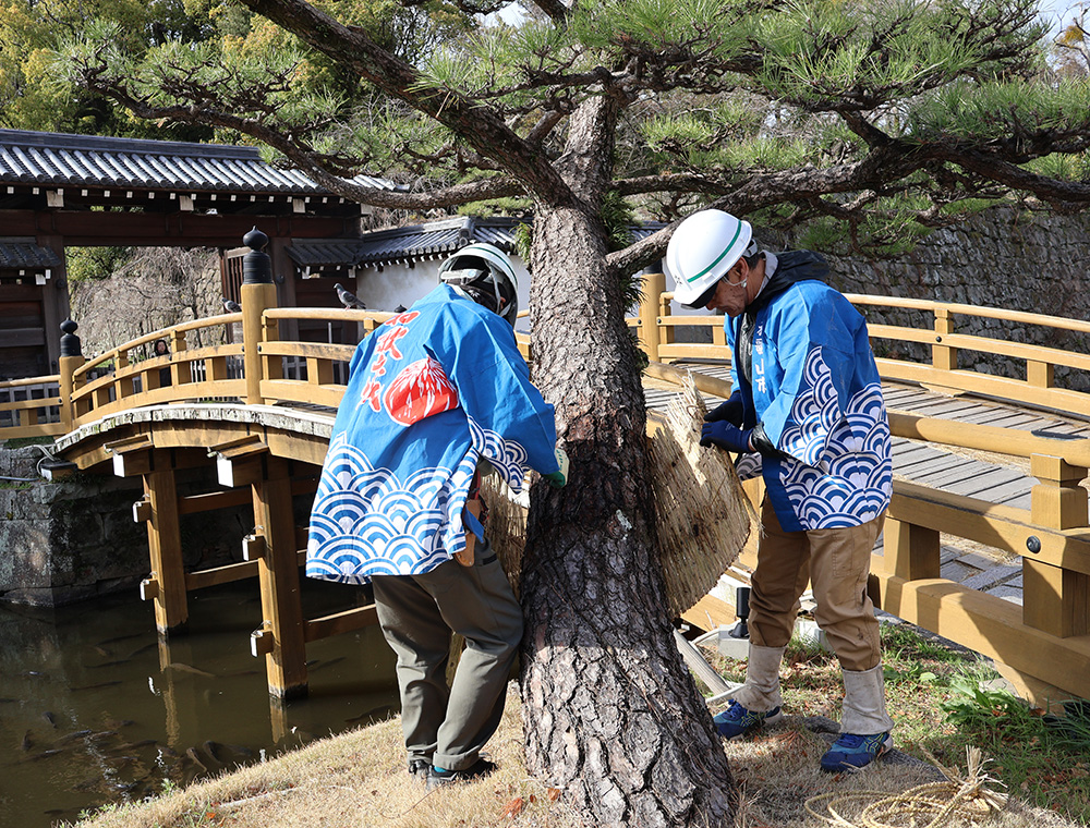 こもを取り外す職員たち
