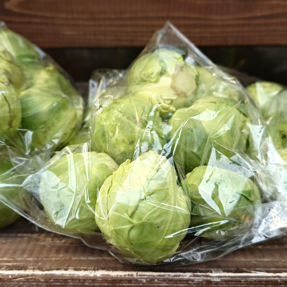 小さな実が特徴の「芽キャベツ」