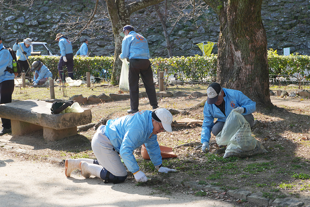 しゃがんで除草作業に取り組む