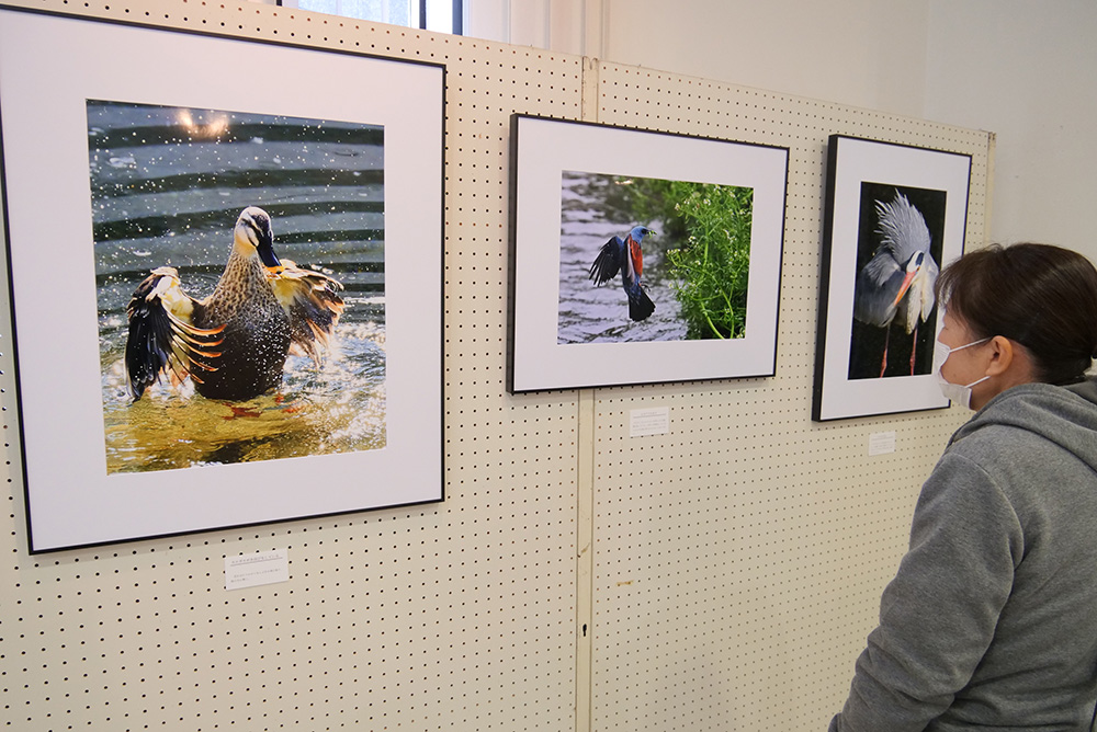 谷所さんの作品に見入る来場者