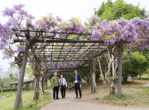 花を楽しむ来園者