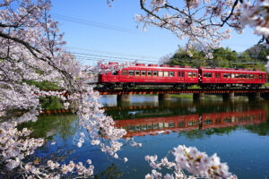 車両と風景が写っている写真を募集(貴志川線の未来をつくる会提供)