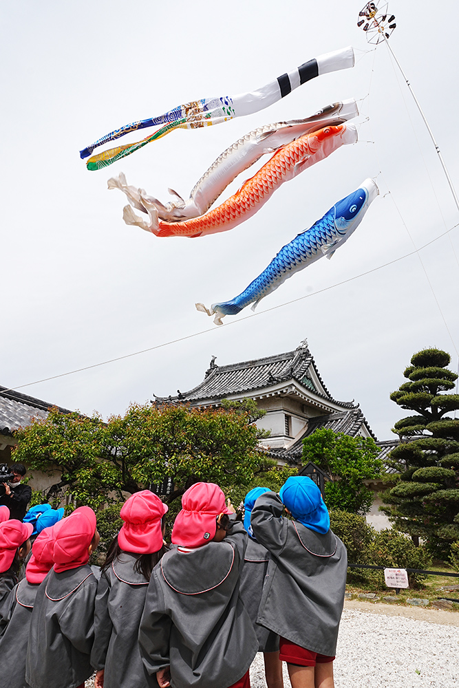 風になびく鯉のぼりを見上げる園児たち
