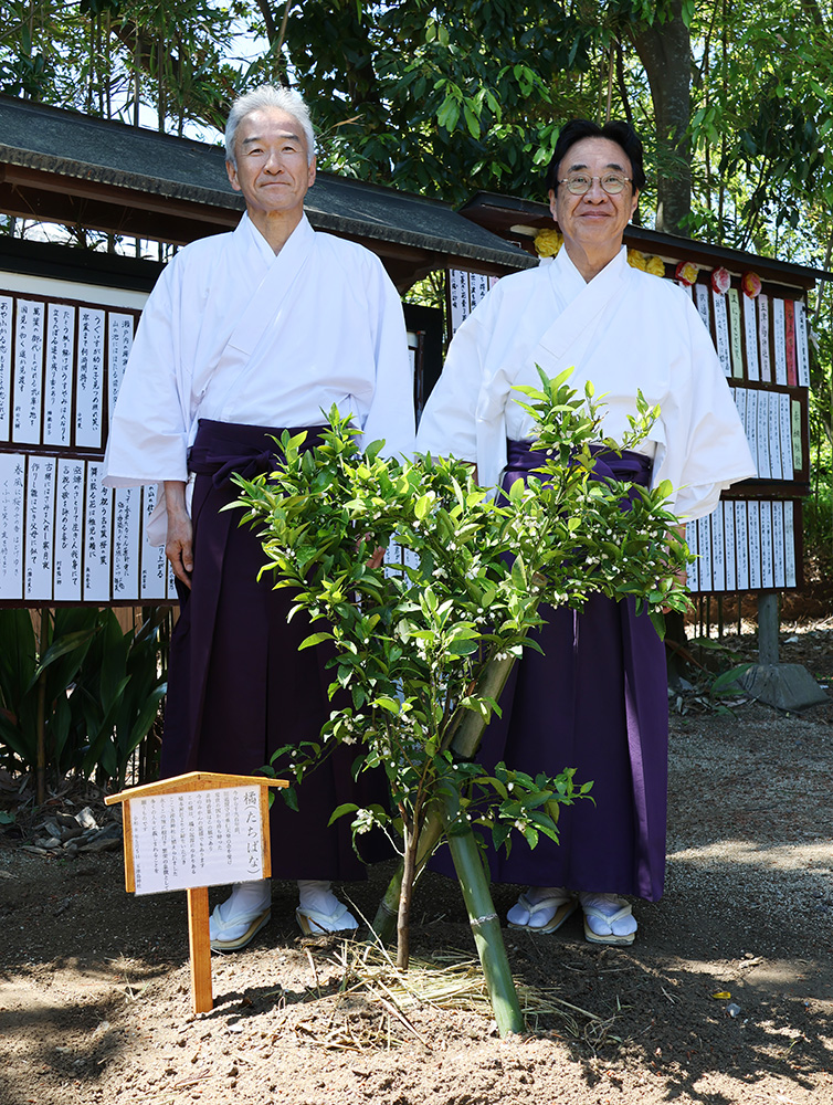 植樹された橘の苗木を前に、前山宮司㊧、遠北宮司