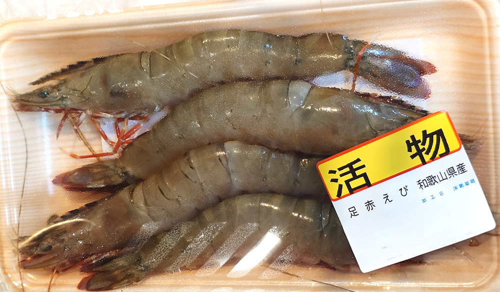 足赤エビ（クマエビ）