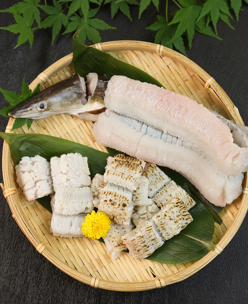 骨切りされたハモ