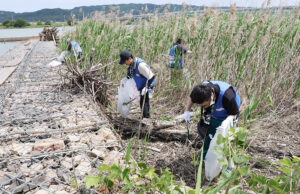 漂着ごみを拾う社員ら