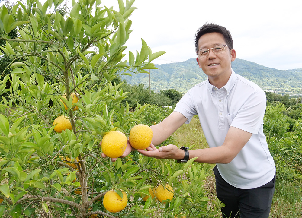 大切に夏みかんを育てる児玉社長
