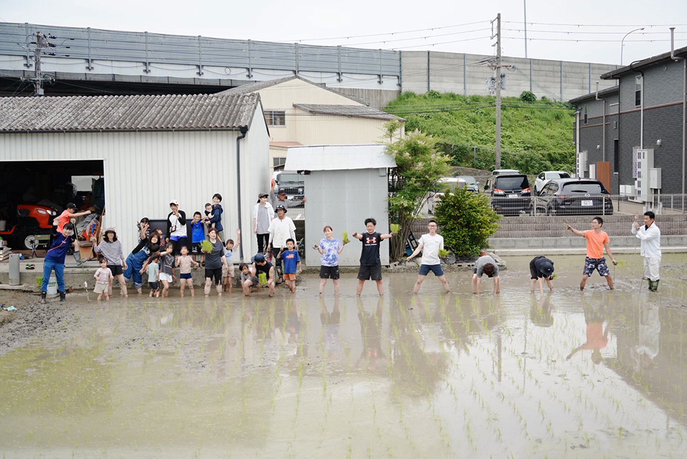 親子で楽しんだ田植え